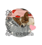 るるたろう集（個別スタンプ：9）