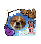 るるたろう集（個別スタンプ：16）