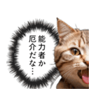 猫漫画スタンプ（個別スタンプ：6）