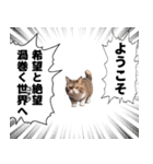 猫漫画スタンプ（個別スタンプ：8）