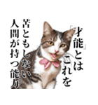 猫漫画スタンプ（個別スタンプ：9）