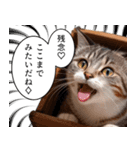 猫漫画スタンプ（個別スタンプ：16）