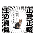 猫漫画スタンプ（個別スタンプ：25）