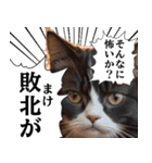 猫漫画スタンプ（個別スタンプ：27）