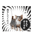 猫漫画スタンプ（個別スタンプ：29）