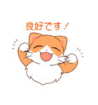 【丁寧語】紅葉猫いろはの挨拶スタンプ（個別スタンプ：21）