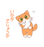 【丁寧語】紅葉猫いろはの挨拶スタンプ（個別スタンプ：31）