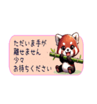 レッサーパンダ 毎日使用 日本語英語（個別スタンプ：12）