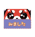 レッサーパンダ 毎日使用 日本語英語（個別スタンプ：18）