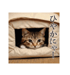 佐賀弁猫語（ニャーゴ）辞典（個別スタンプ：9）