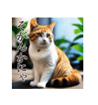 佐賀弁猫語（ニャーゴ）辞典（個別スタンプ：13）