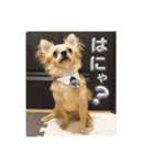 るるとえな（個別スタンプ：1）