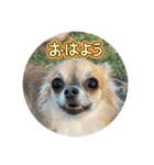 るるとえな（個別スタンプ：2）