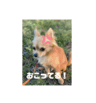 るるとえな（個別スタンプ：4）