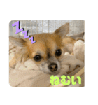 るるとえな（個別スタンプ：6）