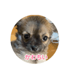 るるとえな（個別スタンプ：10）