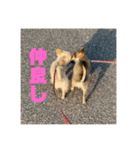 るるとえな（個別スタンプ：14）