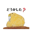 セイウチ達の生活（個別スタンプ：3）