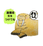 セイウチ達の生活（個別スタンプ：7）