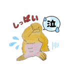 セイウチ達の生活（個別スタンプ：13）