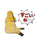 セイウチ達の生活（個別スタンプ：14）