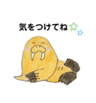 セイウチ達の生活（個別スタンプ：24）