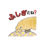 セイウチ達の生活（個別スタンプ：25）