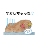 セイウチ達の生活（個別スタンプ：29）