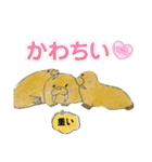 セイウチ達の生活（個別スタンプ：34）