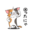 猫さんの平凡な日常2（個別スタンプ：14）