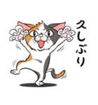 猫さんの平凡な日常2（個別スタンプ：19）