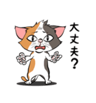 猫さんの平凡な日常2（個別スタンプ：24）