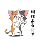 猫さんの平凡な日常2（個別スタンプ：31）