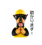 ドーベルマンの現場仕事⭐グラサン犬（個別スタンプ：16）