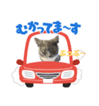トム君チャンネルのスタンプ（個別スタンプ：6）
