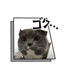トム君チャンネルのスタンプ（個別スタンプ：8）