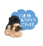 【敬語もあり】パグスタンプ（個別スタンプ：4）