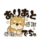 柴犬・茶色い犬 2024『赤ちゃん言葉で』（個別スタンプ：3）