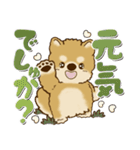 柴犬・茶色い犬 2024『赤ちゃん言葉で』（個別スタンプ：5）