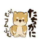 柴犬・茶色い犬 2024『赤ちゃん言葉で』（個別スタンプ：9）