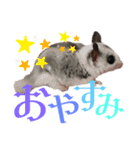 ぽころさんち（個別スタンプ：1）