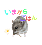 ぽころさんち（個別スタンプ：3）