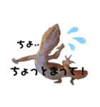 ぽころさんち（個別スタンプ：7）