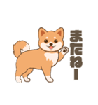 かわいい柴犬の日常使いスタンプ（個別スタンプ：2）