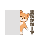 かわいい柴犬の日常使いスタンプ（個別スタンプ：14）