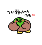 喜怒哀楽カモ♩（個別スタンプ：29）