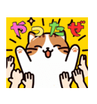 絵面の強い猫2（個別スタンプ：9）