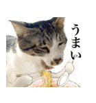 うずめの毎日3（個別スタンプ：2）