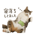 うずめの毎日3（個別スタンプ：3）