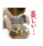 うずめの毎日3（個別スタンプ：7）